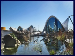 L'Oceanogràfic Oceanarium 018